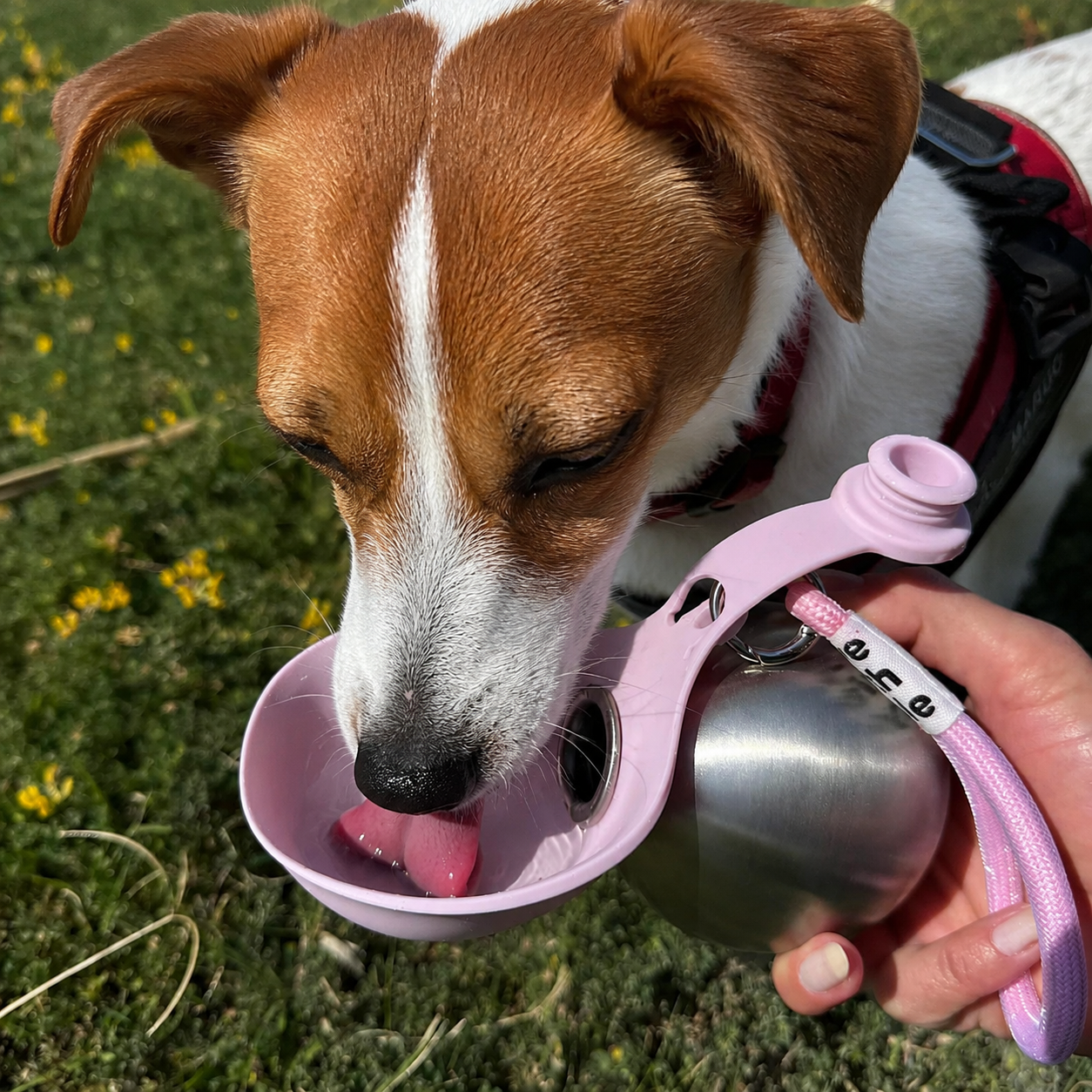 Coselle™ WalkBottle