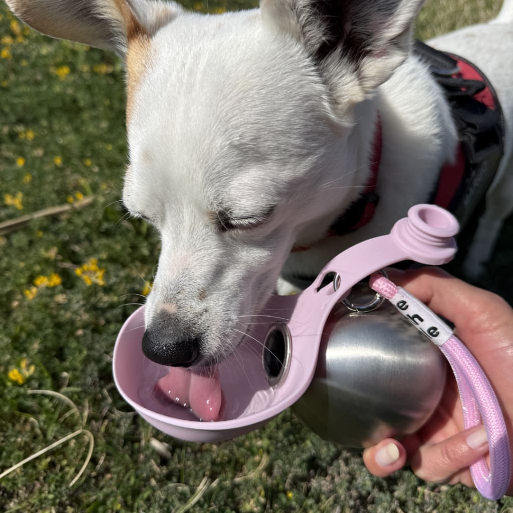 Coselle™ WalkBottle