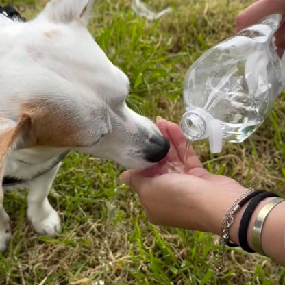 Coselle™ WalkBottle